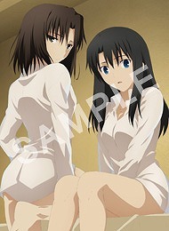 ゲーマーズ(C)奈須きのこ/星海社･アニプレックス･講談社･ノーツ･ufotable