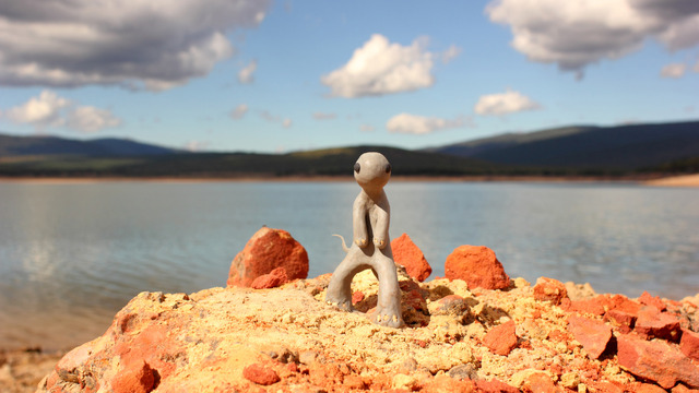 TAAF2020 コンペティション部門 短編アニメーション スロット1