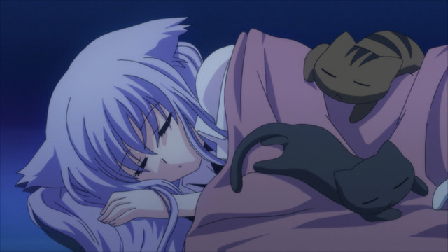 『迷い猫オーバーラン！』（C）松智洋・ぺこ,集英社・迷い猫同好会