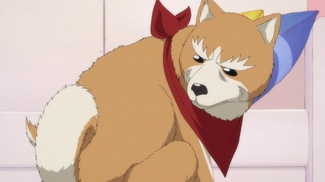 『織田シナモン信長』第1話「時空を越えて蘇った漢（おとこ）ワシが織田シナモン信長である!?」先行カット（C）目黒川うな/NSP,織田シナモン信長製作委員会