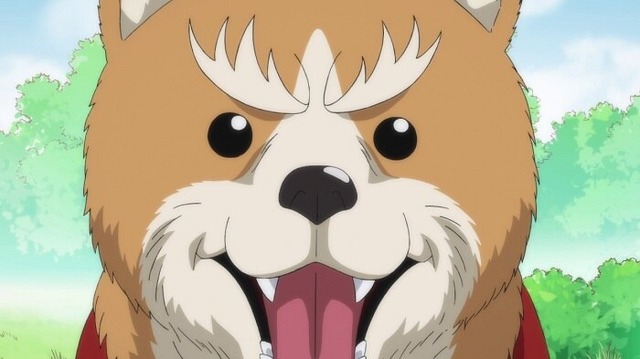 『織田シナモン信長』第1話「時空を越えて蘇った漢（おとこ）ワシが織田シナモン信長である!?」先行カット（C）目黒川うな/NSP,織田シナモン信長製作委員会