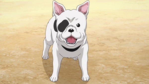 『織田シナモン信長』第2話「牛乳マンとイチゴパンティ…　本能寺の恋？」先行カット（C）目黒川うな/NSP,織田シナモン信長製作委員会