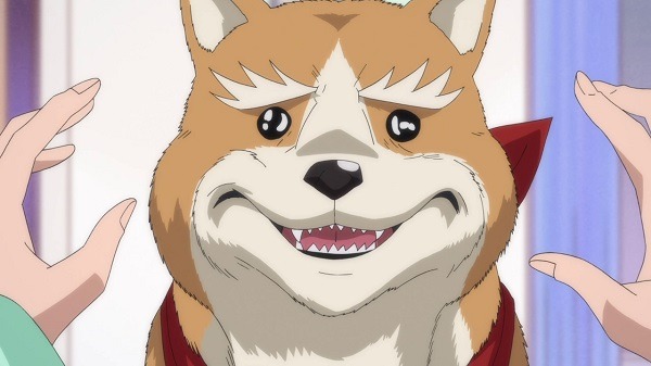 『織田シナモン信長』第2話「牛乳マンとイチゴパンティ…　本能寺の恋？」先行カット（C）目黒川うな/NSP,織田シナモン信長製作委員会