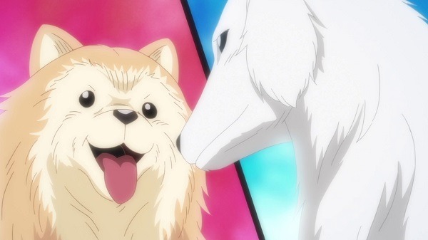 『織田シナモン信長』第2話「牛乳マンとイチゴパンティ…　本能寺の恋？」先行カット（C）目黒川うな/NSP,織田シナモン信長製作委員会