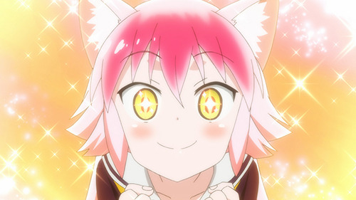 『群れなせ！シートン学園』第3話「愛するものたちと脱ぐもの－ミキとキングとシホの話－」先行カット（C） 山下文吾・Cygames／アニメ「群れなせ！シートン学園」製作委員会