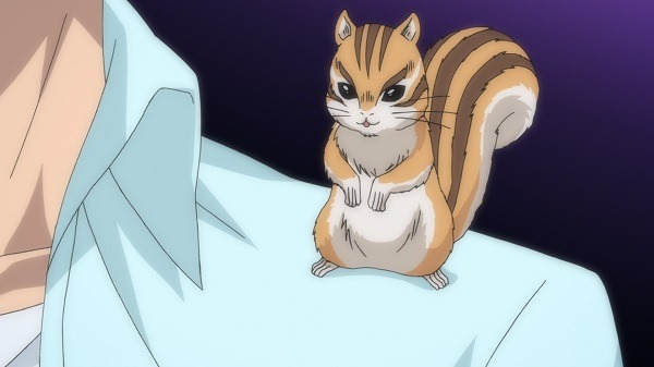 『織田シナモン信長』第3話「犬貴族、桶狭間の戦い再び・・・であるか？」先行カット（C）目黒川うな/NSP,織田シナモン信長製作委員会