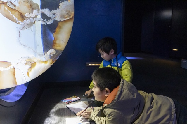 こどもワークショップ「アニメ水族館」