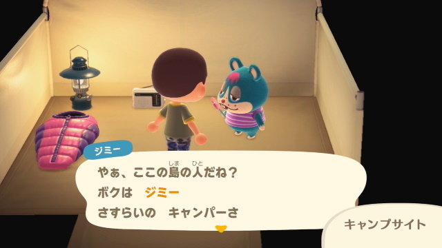 『あつまれ どうぶつの森』Directで発表された最新情報まとめ―お馴染みのマイホームや住民たちがプレイヤーを待つ！もちろんローン返済も…