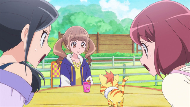 「『ヒーリングっど プリキュア』先行場面カット」（Ｃ）ABC-A・東映アニメーション