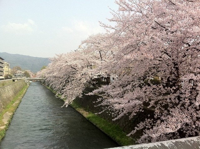 新たな映画の“幕開け”…『デスノート』金子修介を最高責任者にクラウドファンディングで製作