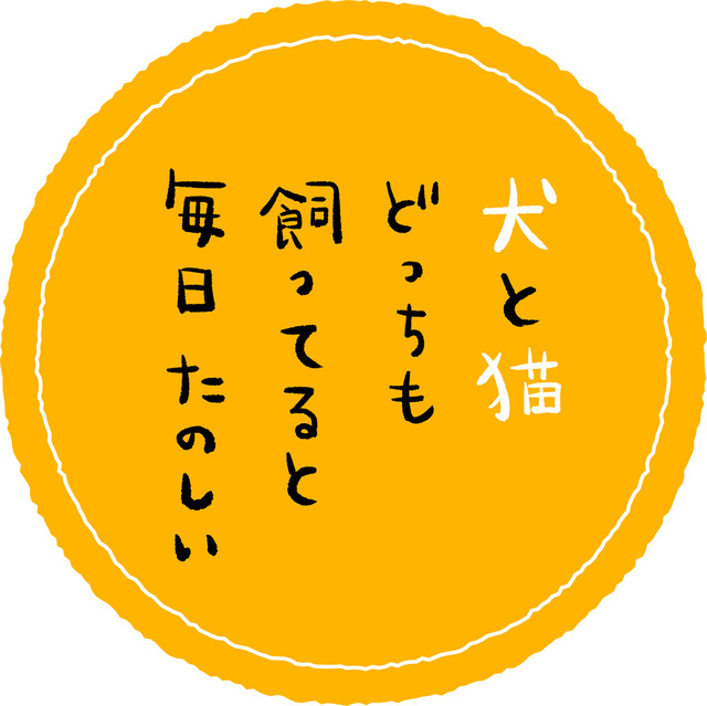『犬と猫どっちも飼ってると毎日たのしい』（C）松本ひで吉・講談社／犬と猫製作委員会