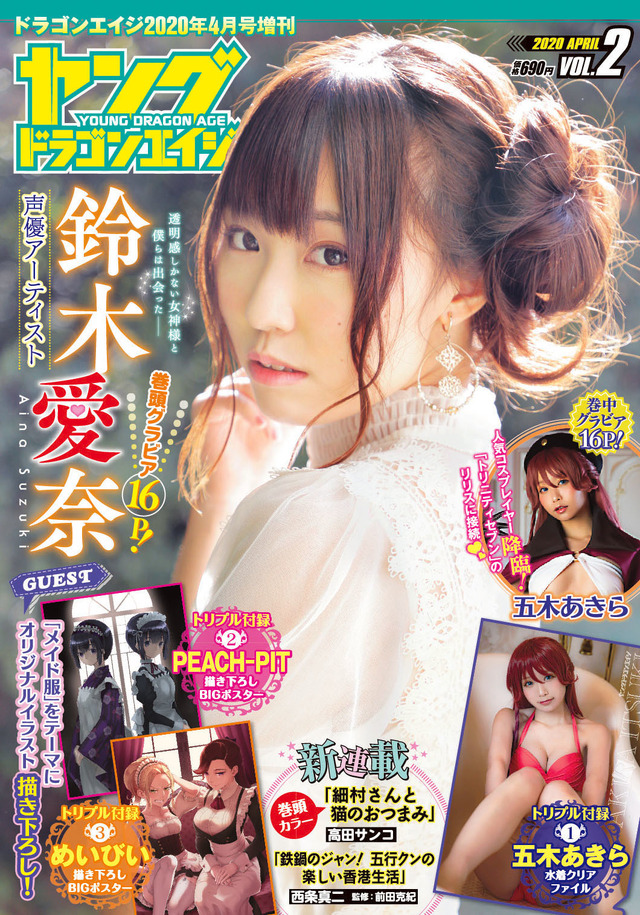 「ヤングドラゴンエイジ VOL.2」690円