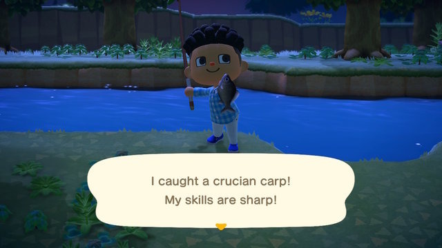 スイッチ『あつまれ どうぶつの森』で始める語学留学！ Pick up and Catch：まずは採取から始めよう