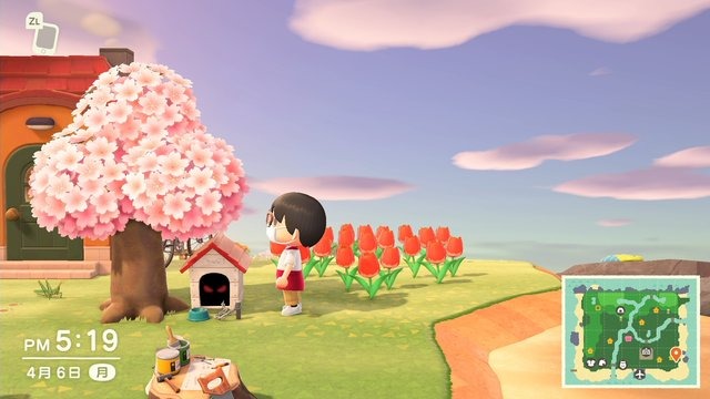 『あつまれ どうぶつの森』意外とすごい特別な家具10種類！トイレはスッキリできて、ハムスターも人によって違う!?