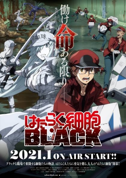 TVアニメ『はたらく細胞BLACK』キービジュアル（C）原田重光・初嘉屋一生・清水茜／講談社・CODE BLACK PROJEC