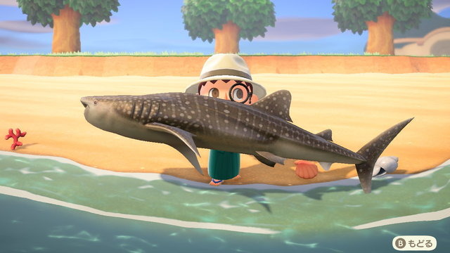 『あつまれ どうぶつの森』6月からは虫取り＆魚釣りが熱い！ 新登場した高額生物たちの出現場所・時間帯を紹介