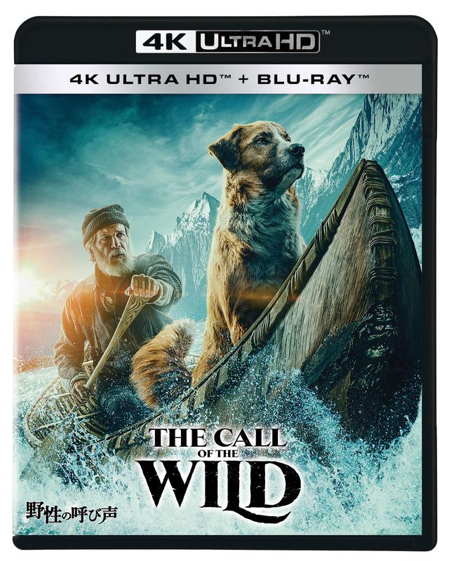 『野性の呼び声 4K UHD』（6,000円＋税）（C）2020 20th Century Studios