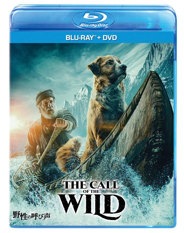 『野性の呼び声 ブルーレイ＋DVDセット』（4,000円＋税）（C）2020 20th Century Studios