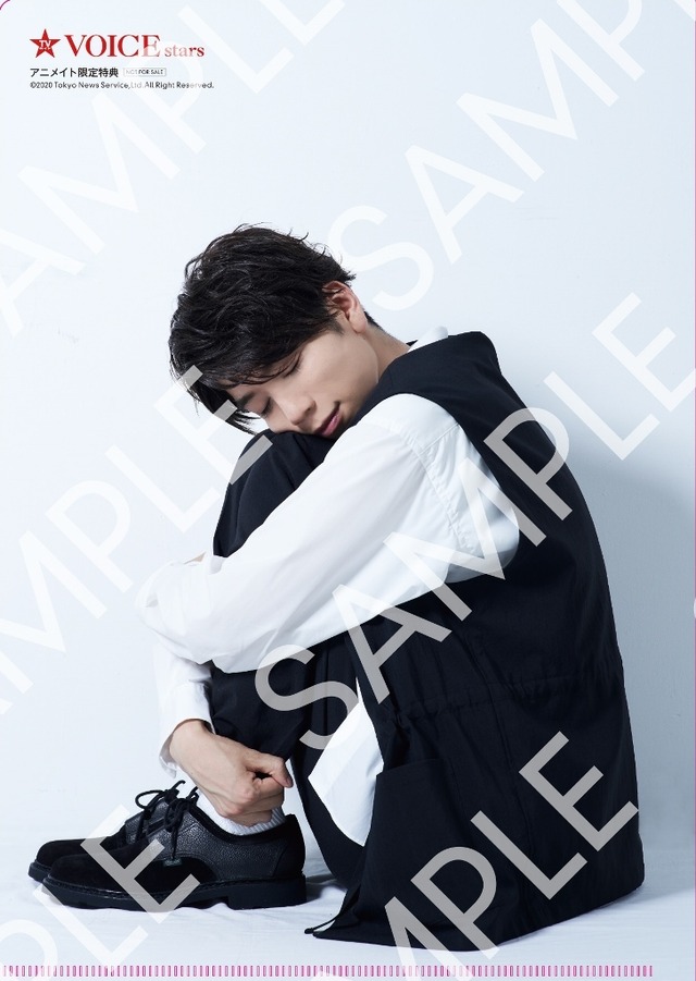 「TVガイドVOICE STARS vol.15」（東京ニュース通信社刊）アニメイト購入特典クリアファイル