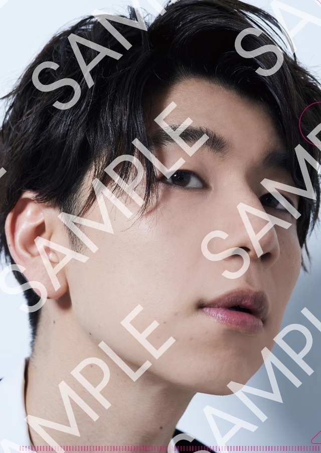 「TVガイドVOICE STARS vol.15」（東京ニュース通信社刊）アニメイト購入特典クリアファイル