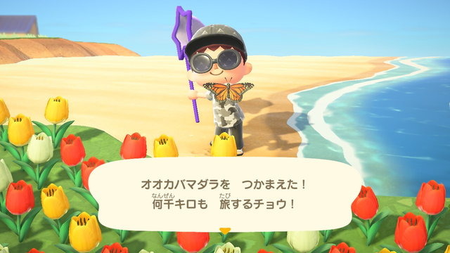 『あつまれ どうぶつの森』9月から新登場した虫・魚・海の幸をチェック！ 虫の合唱、遡上するサケ…生態系を秋が彩る