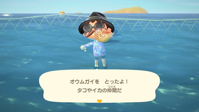 『あつまれ どうぶつの森』9月から新登場した虫・魚・海の幸をチェック！ 虫の合唱、遡上するサケ…生態系を秋が彩る