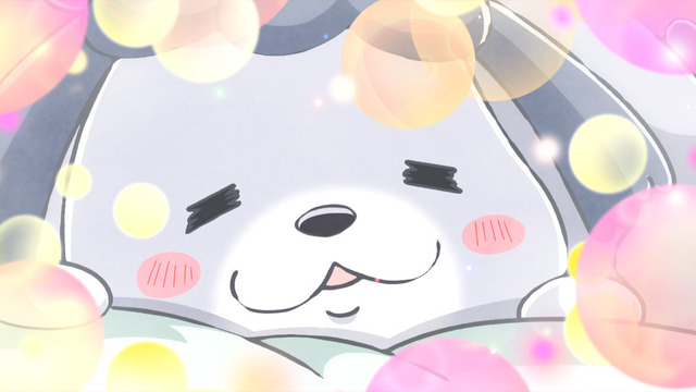 『犬と猫どっちも飼ってると毎日たのしい』第2弾PV場面カット（C）松本ひで吉・講談社／犬と猫製作委員会