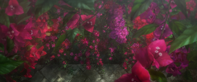 『劇場版 ヴァイオレット・エヴァーガーデン』PV場面カット（C）暁佳奈・京都アニメーション／ヴァイオレット・エヴァーガーデン製作委員会