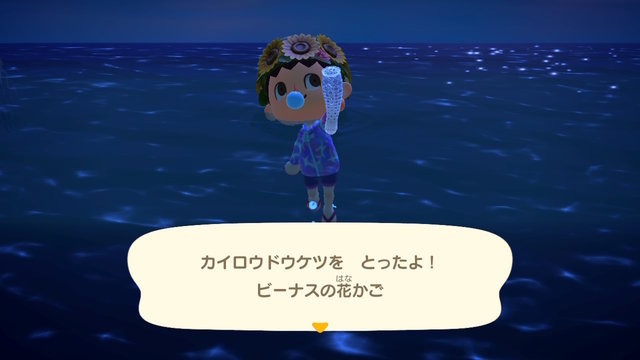 『あつまれ どうぶつの森』4月以降に始めた人は要チェック！ 発売初期の虫/魚が再登場する「10月の新生物一覧」をお届け