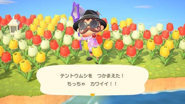 『あつまれ どうぶつの森』4月以降に始めた人は要チェック！ 発売初期の虫/魚が再登場する「10月の新生物一覧」をお届け