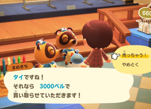 ニセモノに注意？『あつまれ どうぶつの森』で釣れるタイってどんな魚？【平坂寛の『あつ森』博物誌】
