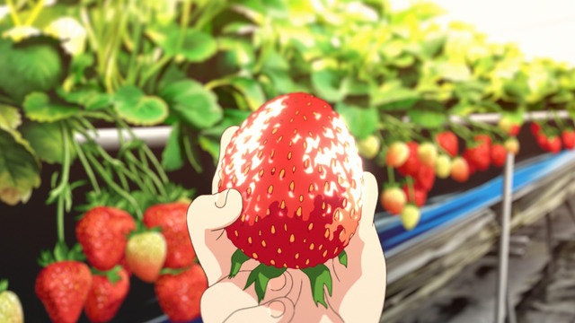 「『23時の佐賀飯アニメ』完全版」