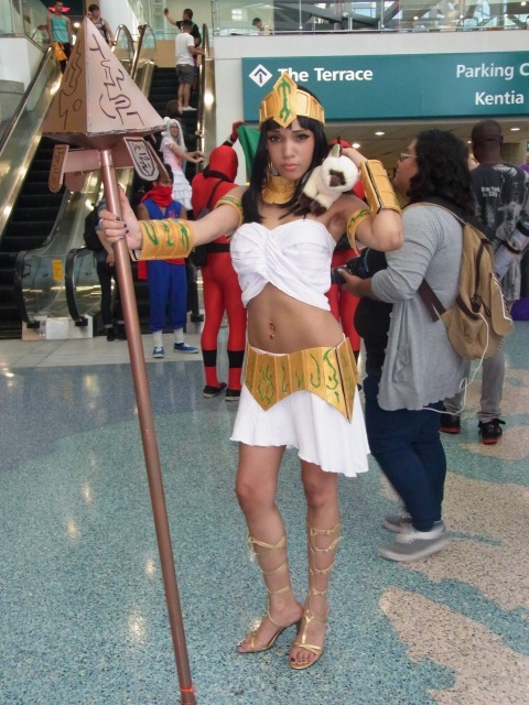 会場は大混雑！米国アニメエキスポ2014で見かけたコスプレイヤーたち（3日目）