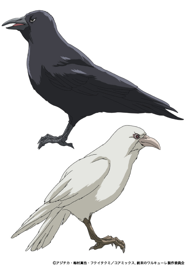 フギン：中野泰佑／ムニン：山口智広（C）アジチカ・梅村真也・フクイタクミ／コアミックス, 終末のワルキューレ製作委員会