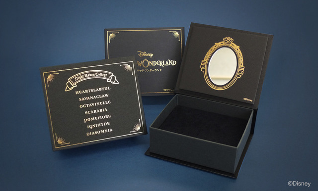 スペシャルBOX（C）Disney