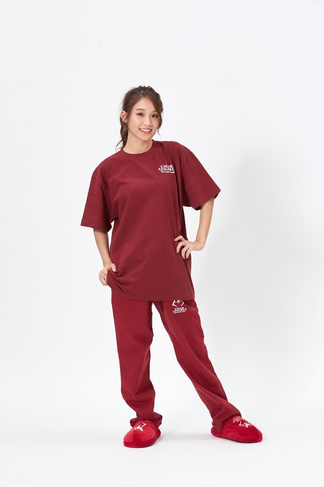 『機動戦士ガンダム 』シャアマークのルームアイテム（C）創通・サンライズ