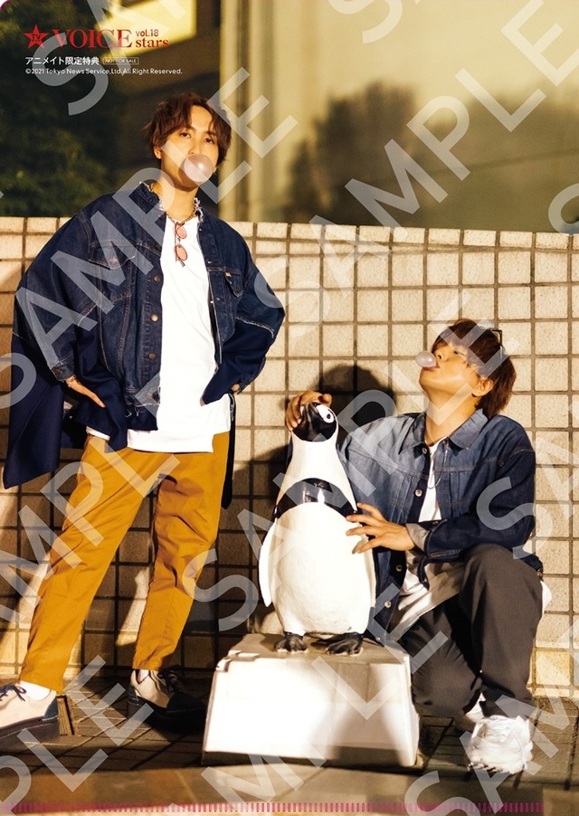 「TVガイドVOICE STARS vol.18」アニメイト購入特典クリアファイル(裏)