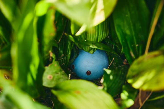 ポケモン求めてリアルな大自然を探索！「ポケモンワンダー」7月17日オープン、草木をかき分ける新たなネイチャーアドベンチャー