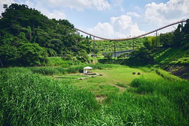 ポケモン求めてリアルな大自然を探索！「ポケモンワンダー」7月17日オープン、草木をかき分ける新たなネイチャーアドベンチャー