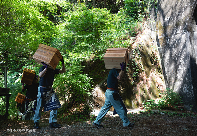 （C）きみくら株式会社