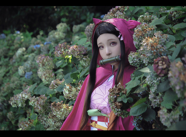 『鬼滅の刃』竈門禰豆子