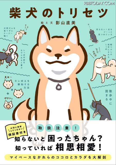 『柴犬のトリセツ』（西東社）