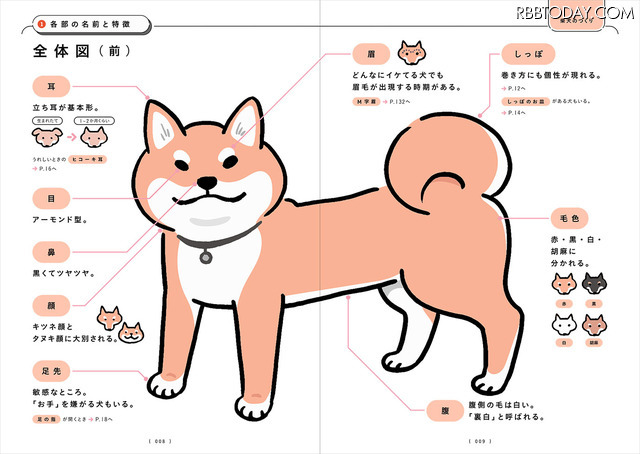 『柴犬のトリセツ』（西東社）