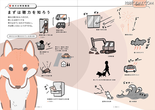 『柴犬のトリセツ』（西東社）
