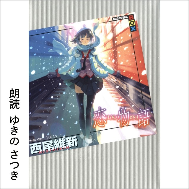 Illustration／VOFAN（C）西尾維新／講談社