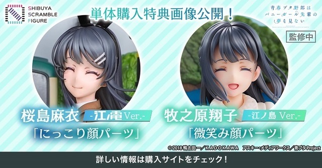 公式販売サイト購入者限定特典　(C)2018 鴨志田 一／ＫＡＤＯＫＡＷＡ　アスキー・メディアワークス／青ブタ Project