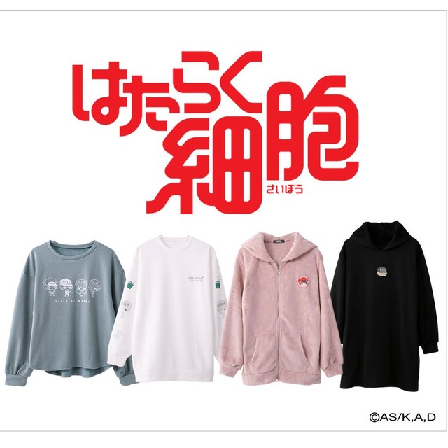 「はたらく細胞」×サンリオ（C）清水茜／講談社・アニプレックス・davidproduction