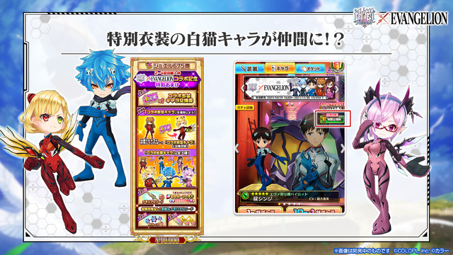 「『白猫プロジェクト』×『エヴァンゲリオン』」（C）COLOPL, Inc.（C）カラー