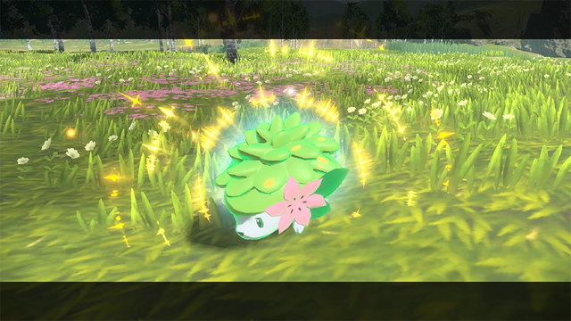 『ポケモンレジェンズ アルセウス』で「シェイミ」が貰える！『ソード・シールド』との連動特典が豪華