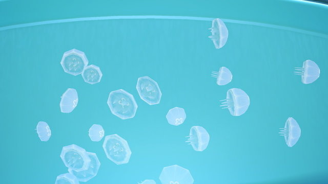 『あつまれ どうぶつの森』